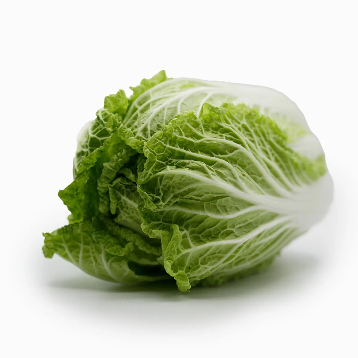 Cavolo Cinese Fresco - 1,5kg